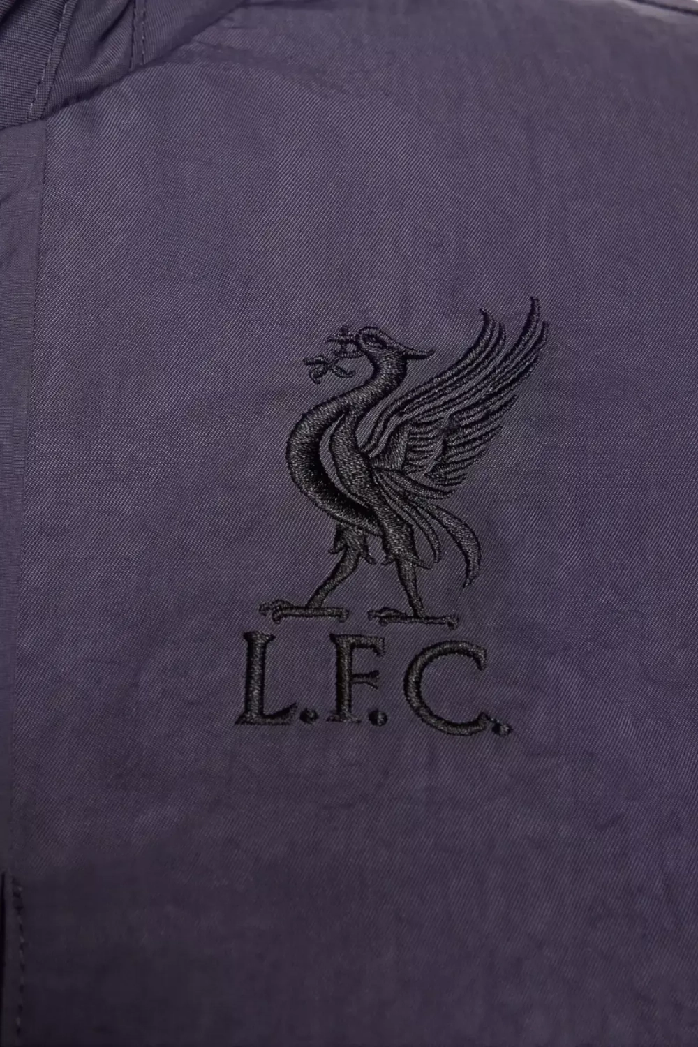 Куртка Nike Liverpool FC 23/24 Repel M65