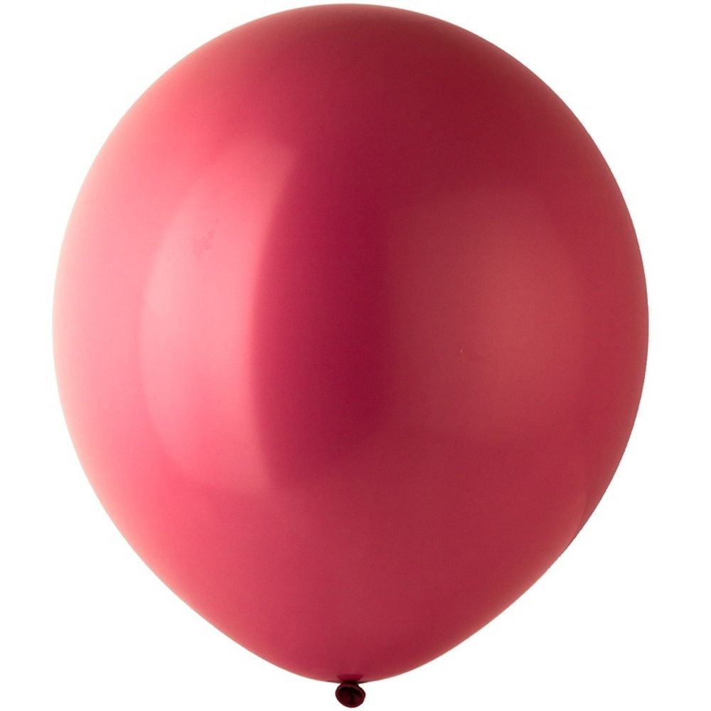 В 24&quot; 250/487 Пастель Wild Rose Экстра 1 шт