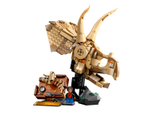 Конструктор LEGO Jurassic World 76969 Окаменелости динозавра: Череп трицератопса