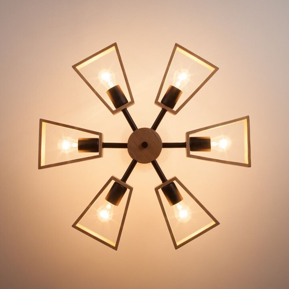 Потолочная люстра Eurosvet Klark 70056/6 черный