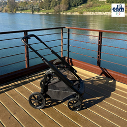 Коляска 2 в 1 CAM Modus 600 зелёный