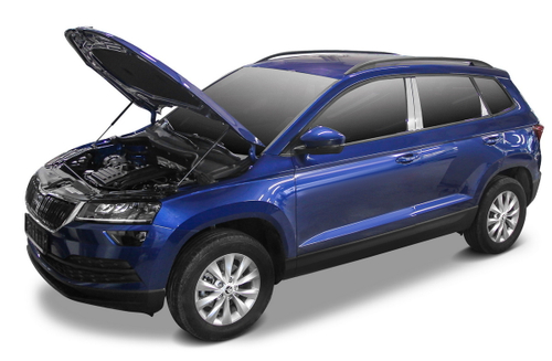 Газовые упоры капота Rival для Skoda Karoq 2020-н.в., 2 шт., A.ST.5108.1
