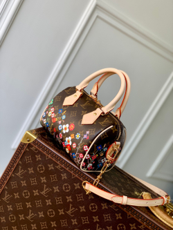 Louis Vuitton Speedy 20