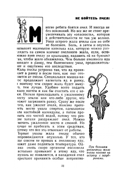 Школьная пасека. Знай и умей | В.А. Губин
