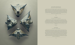 The Hidden Beauty of Seeds & Fruits: The Botanical Photography of Levon Biss
