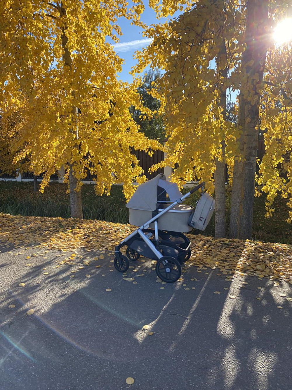 Детская коляска UPPAbaby Vista V2 2 в 1 DECLAN
