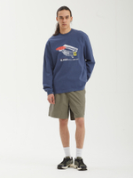 Мужские Шорты Theo Easy