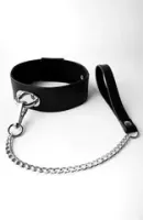 Ошейники и чокеры