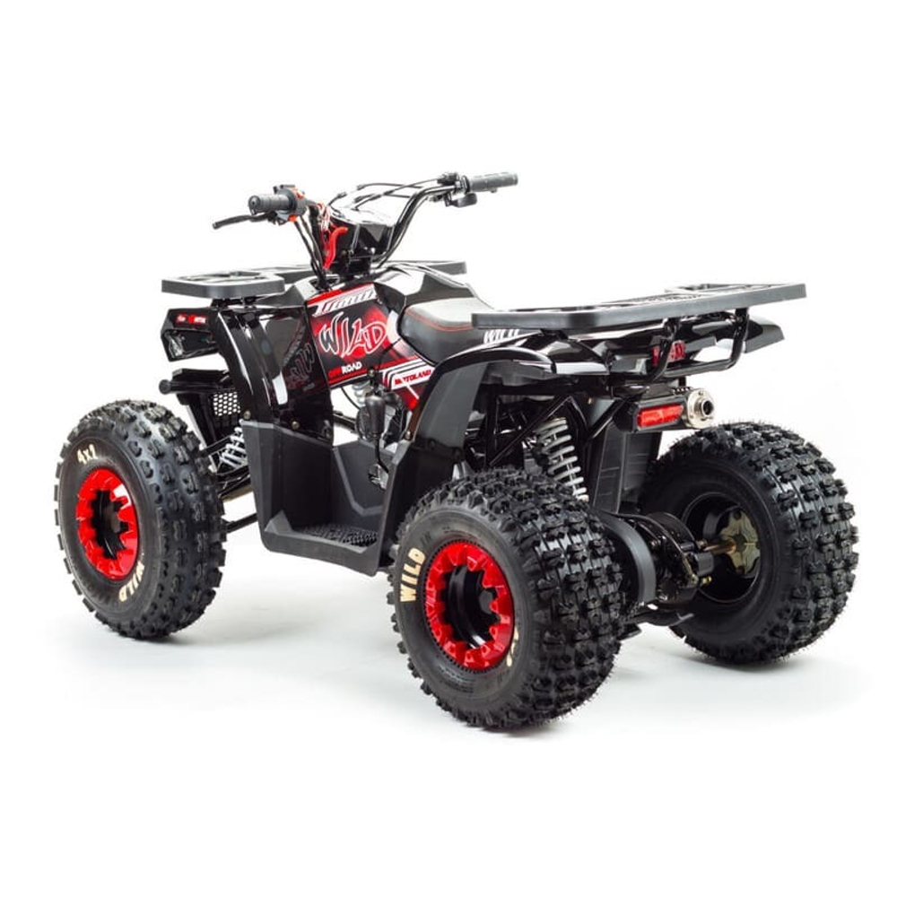 Квадроцикл MOTOLAND Wild 150