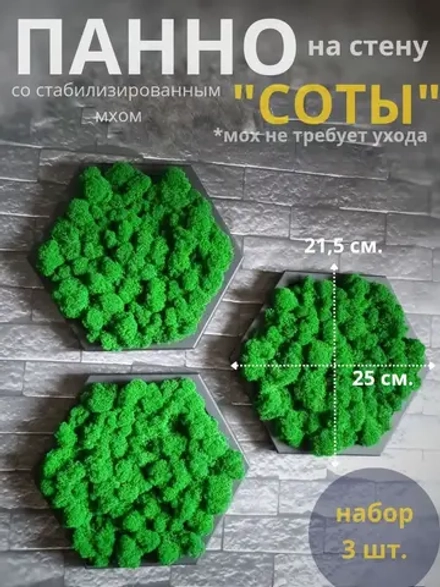 Панно из стабилизированного мха "Соты" набор 3 шт.