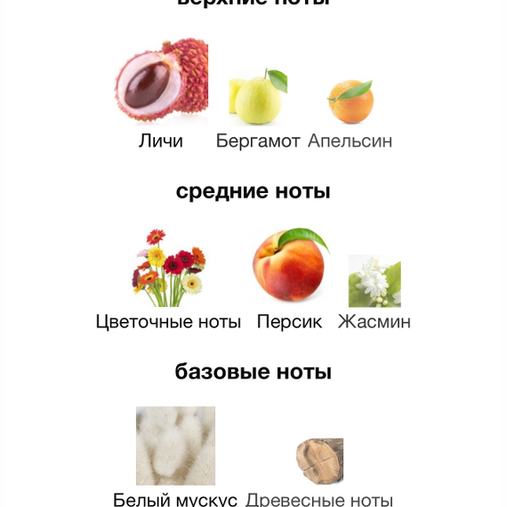 Attar Azora 100 мл