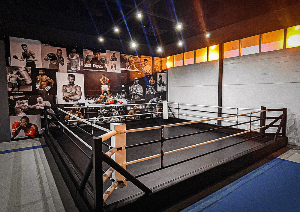 Ринг боксерский в СИЛОВОЙ раме TARGEX