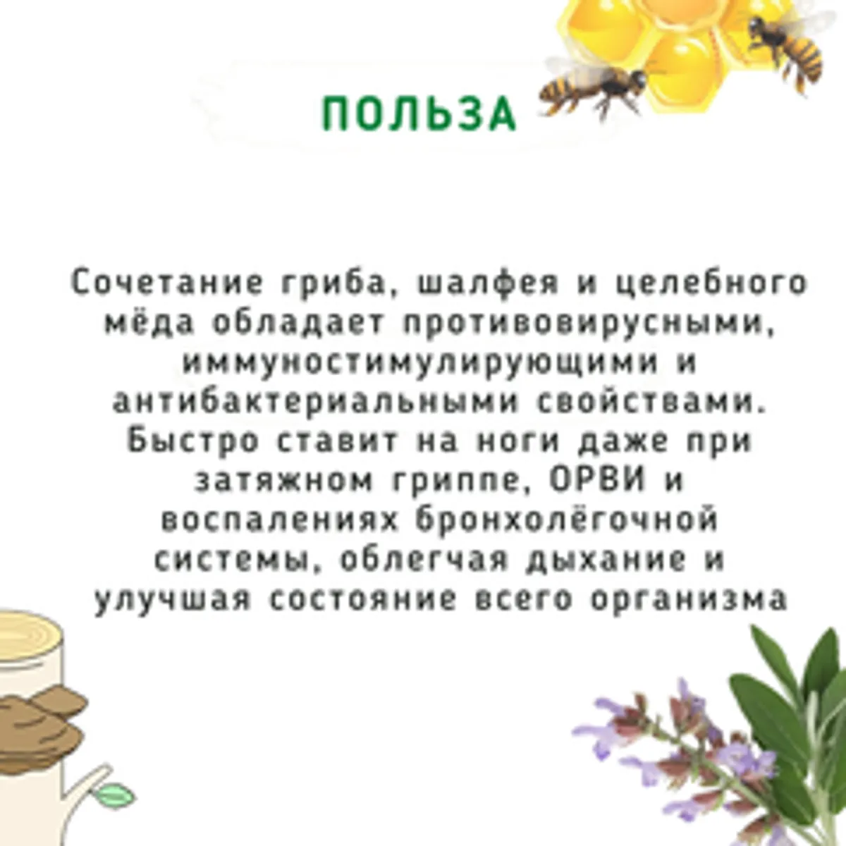 Мёд-бальзам с чагой и шалфеем /110 гр
