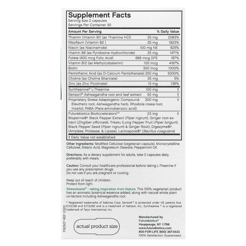 Futurebiotics, Stressassist®, комплекс для снятия стресса с L-теанином, 60 вегетарианских капсул