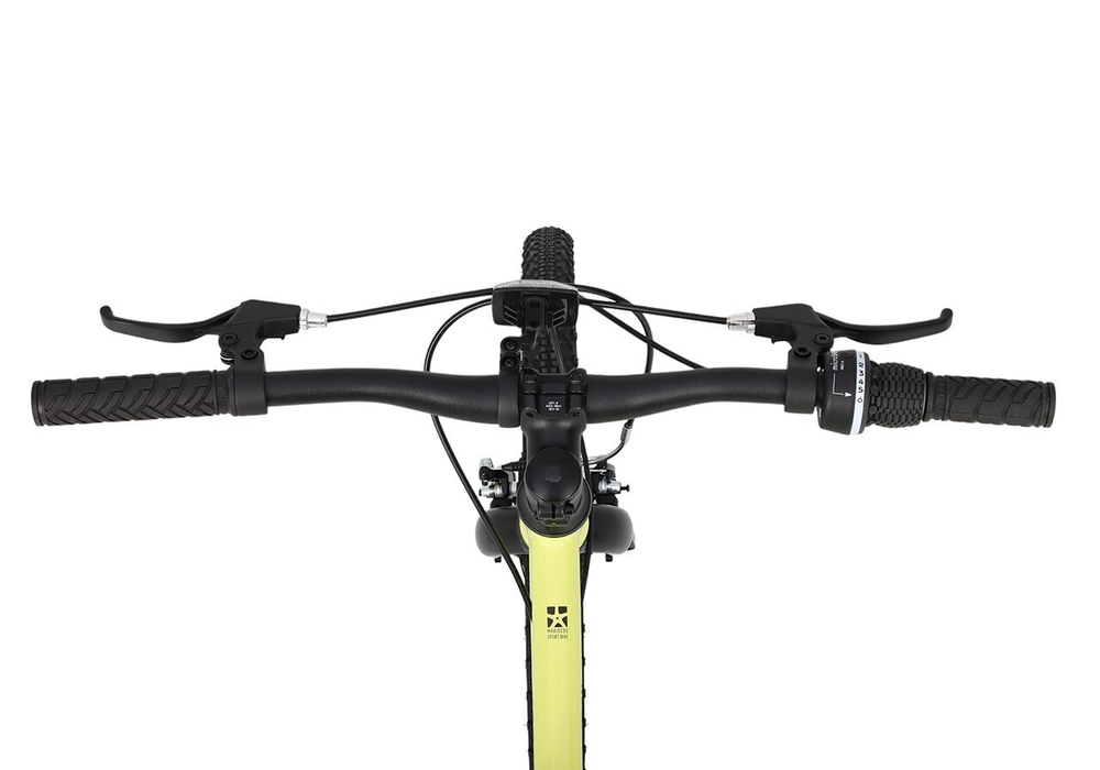 Maxiscoo 3BIKE 24'' M (2025)