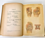 "Новый способ лечения. Настольная книга для здоровых и больных". Платен М.