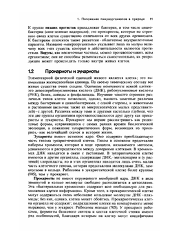 Общая микробиология | Г.Г. Шлегель