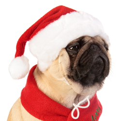 Колпак для собак новогодний "Santa" PUPPIA