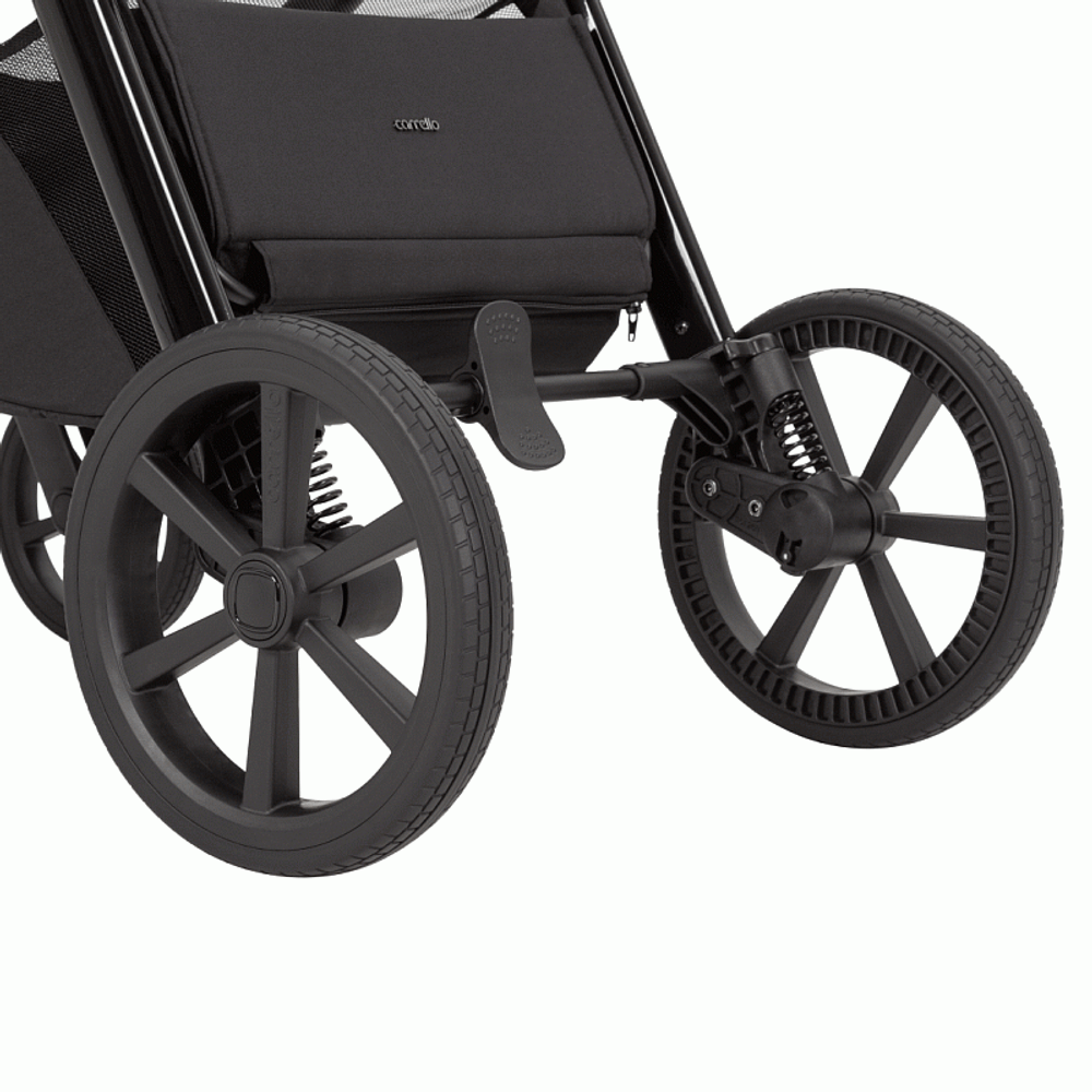 Коляска 2 в 1 Carrello Omega+ CRL-6540/1