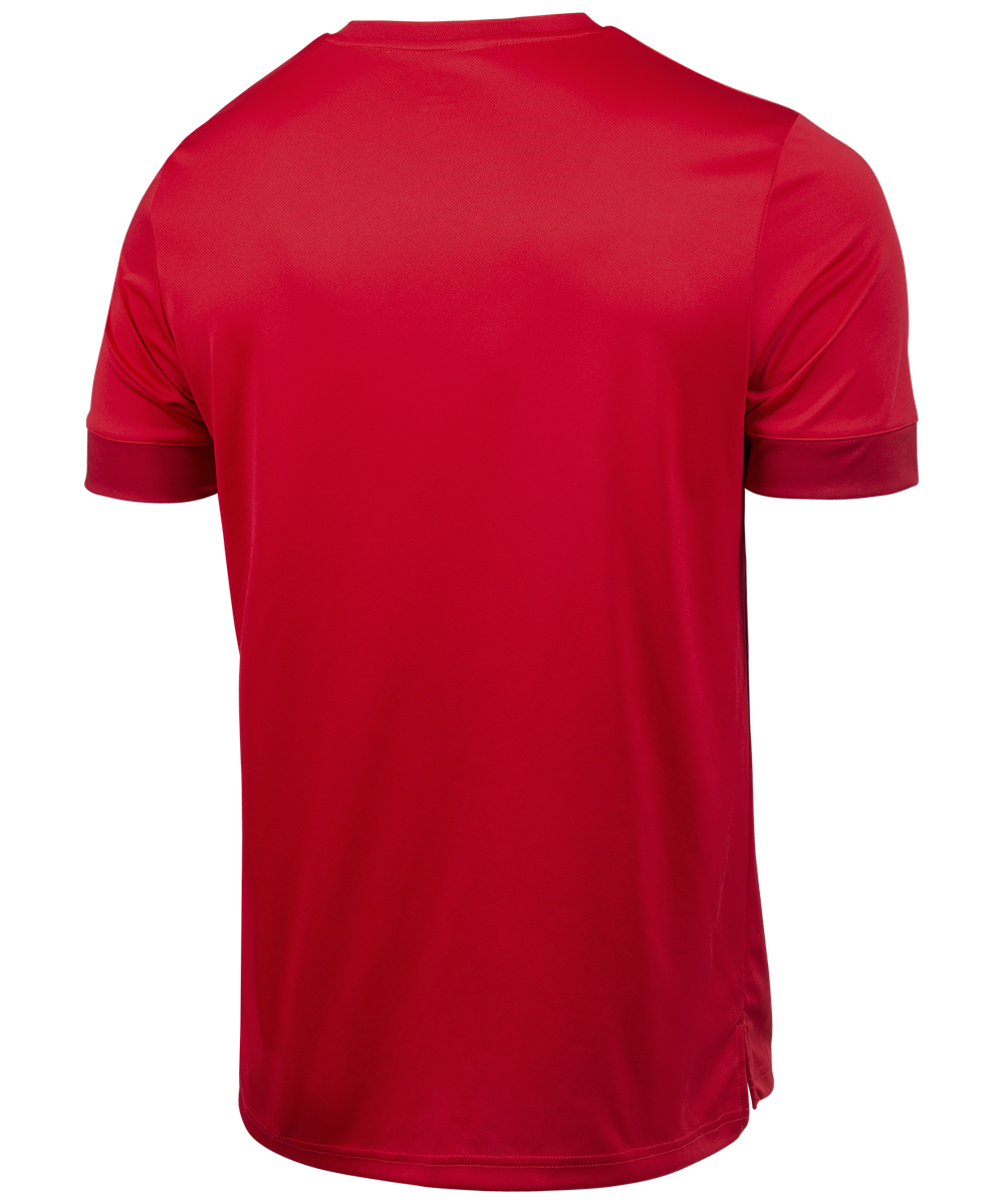 Футболка игровая DIVISION PerFormDRY Union Jersey, красный/ темно-красный/белый, детский