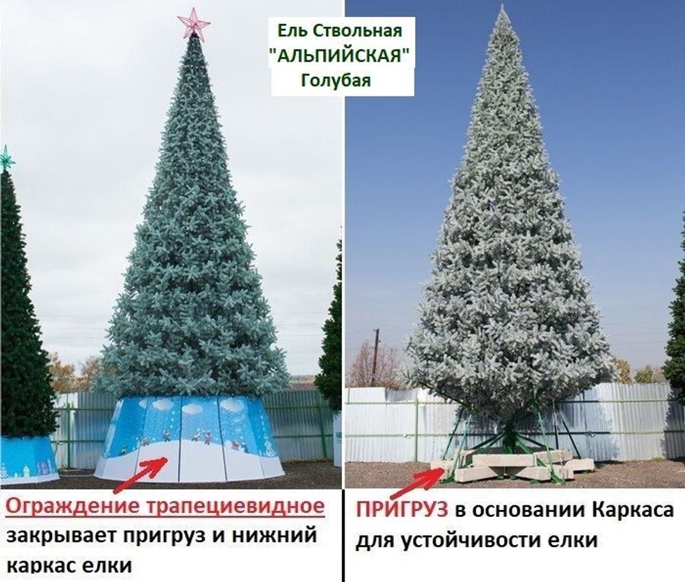 Уличная елка ствольная "Альпийская белая сосна" (Леска белая) от 3 до 22 м