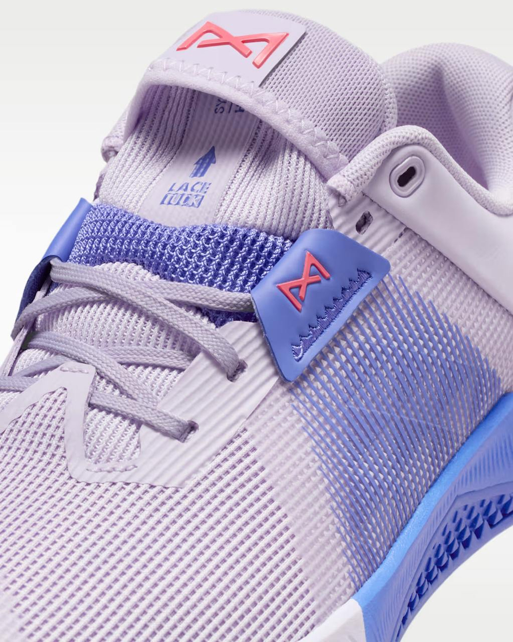 Кроссовки женские Nike Metcon 10 SE (Фиолетово-Синие)