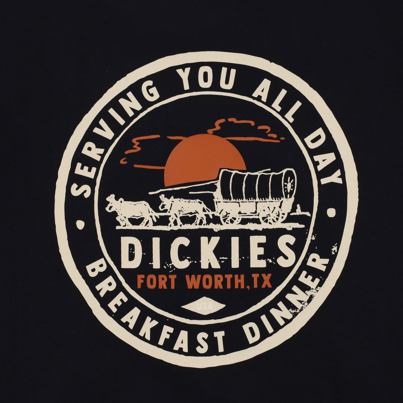 Футболка Dickies Greensburg Graphic T-Shirt (black) артикул: - купить в магазине Дайс