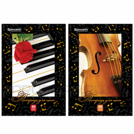 Тетрадь для нот А4, 40л. на скрепке, вертикальная, Brauberg