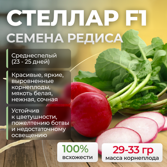 СТЕЛЛАР F1 семена редиса (Syngenta | Alexagro) купить