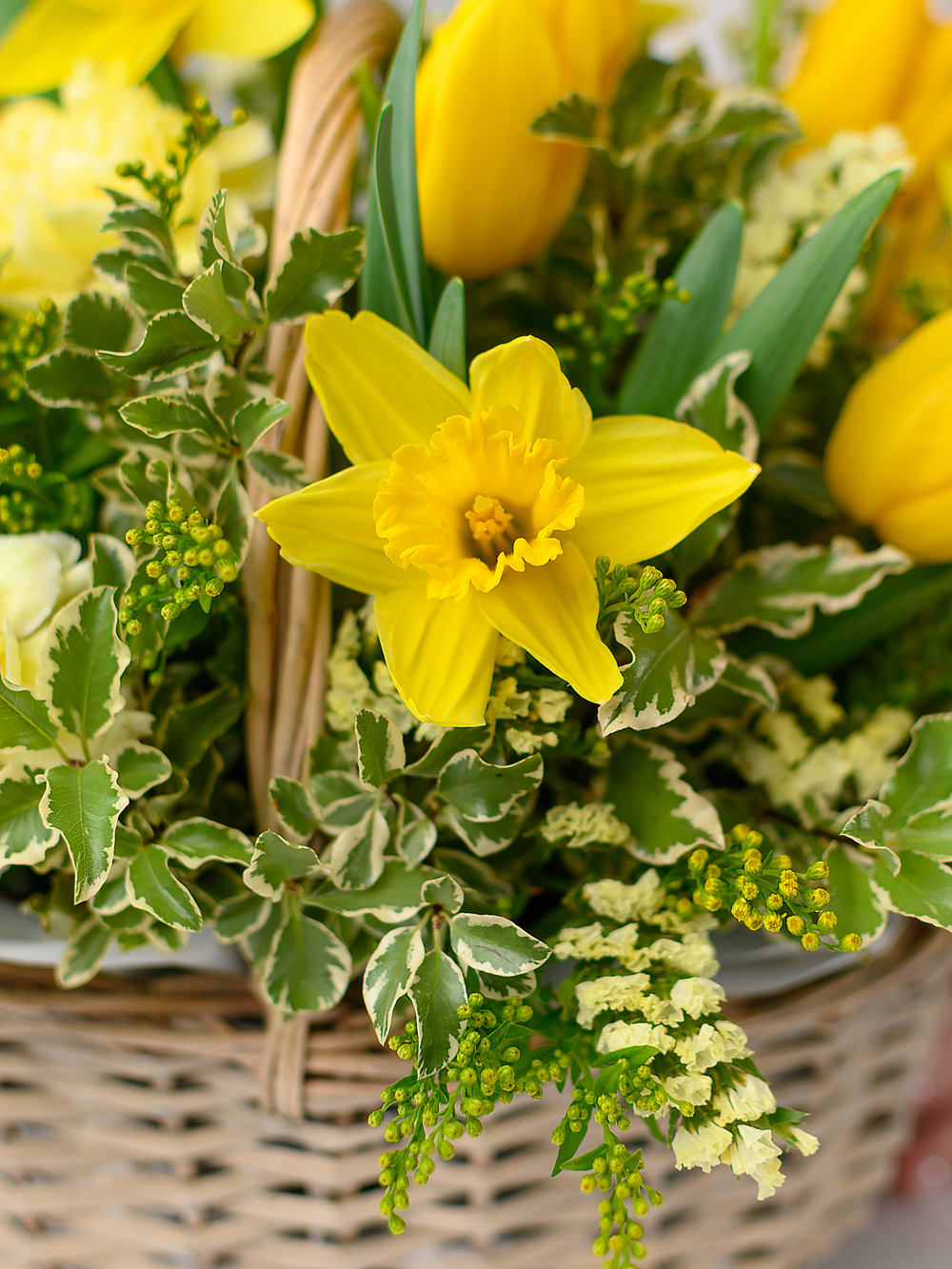 Перед рассветом