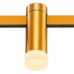 Накладной светильник ST-Luce FARM ST812.206.03