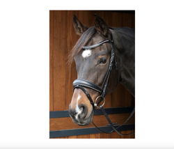 Уздечка Harry's Horse Petit Crystal