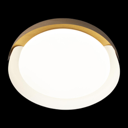 10198 White Потолочный светильник LOFT IT Coin