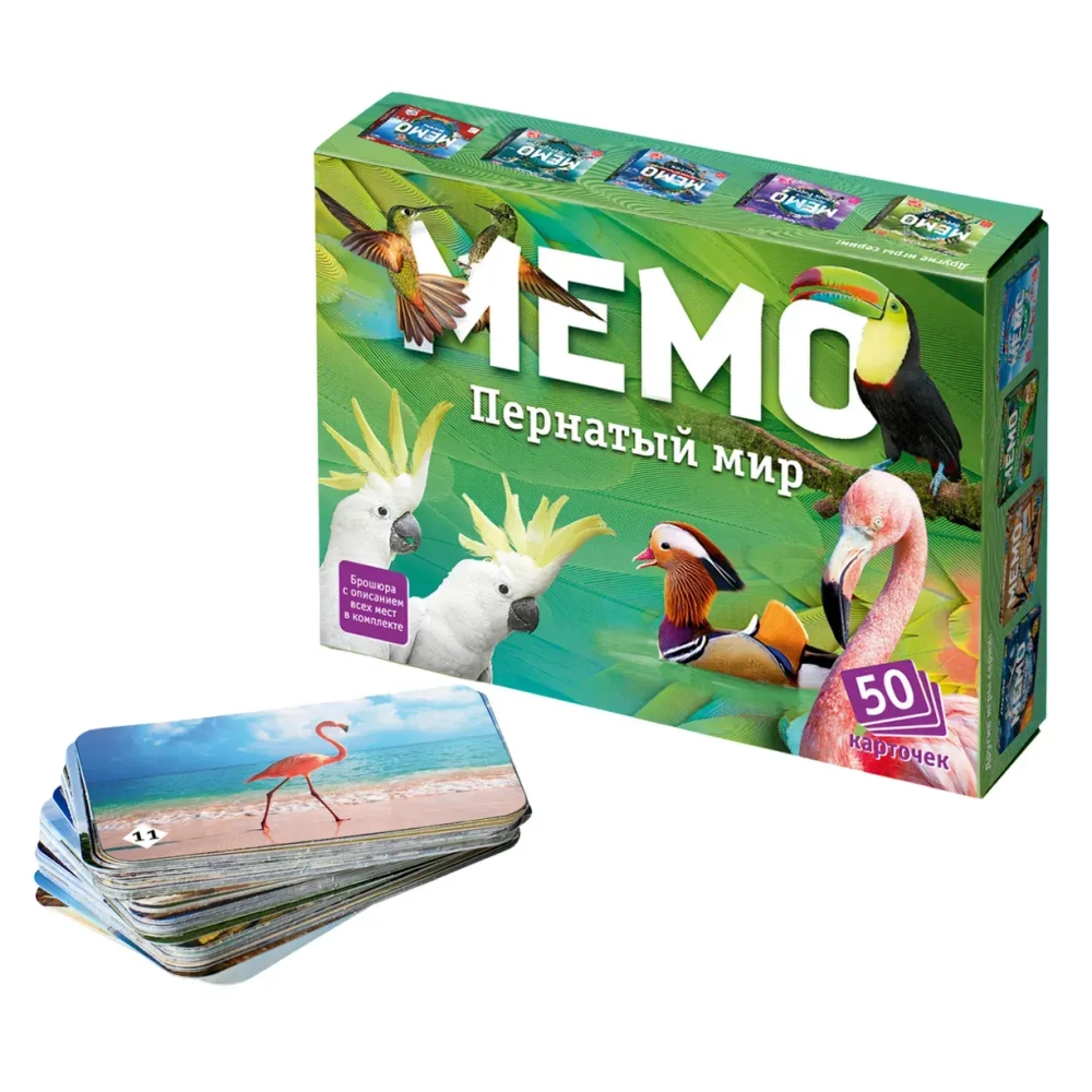 Настольная игра Мемо «Пернатый мир»