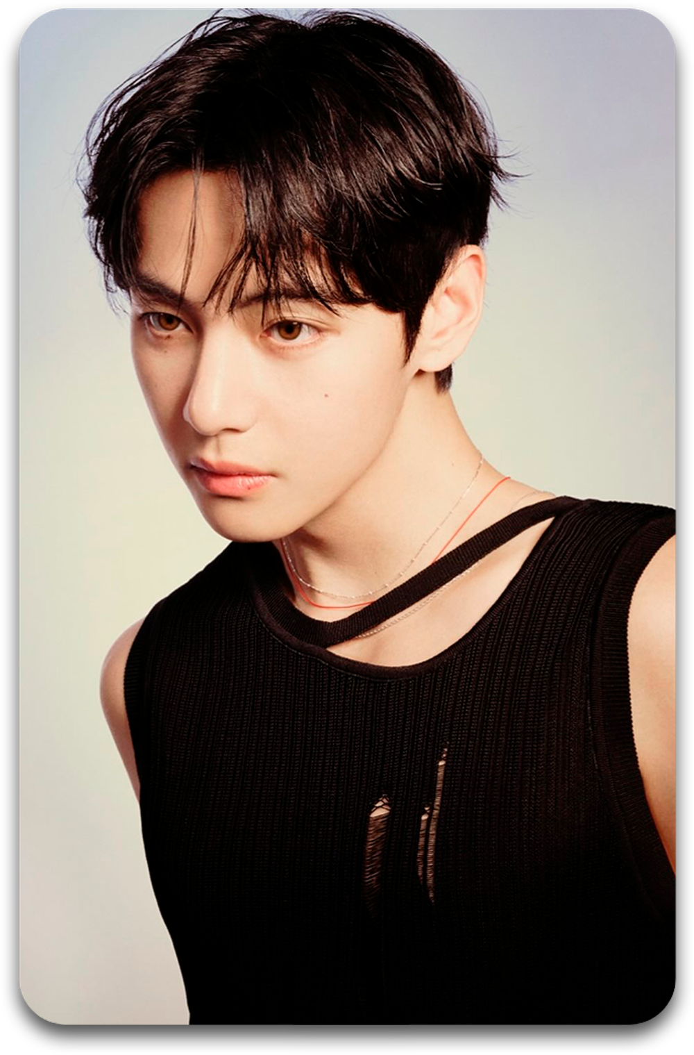 Карта / BTS #1542