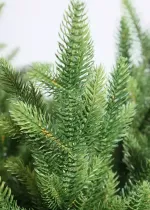 Ель искусственная «Сириус» (Литая хвоя) 185 см / 1,8 м