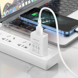 Сетевое зарядное устройство  1USB Borofone BA68A, Glacier, с кабелем микро USB, 5V/2.1A белое