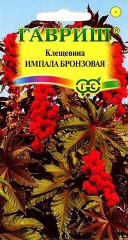 Клещевина Импала бронзовая 5шт Гавриш