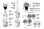 Горшок для полива растений oasis round pot s