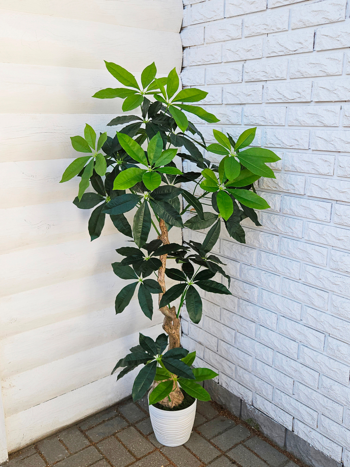 Искусственное дерево Пахира 150см в кашпо