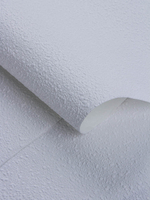 Rasch 1.06 m*25 177423 Wallton