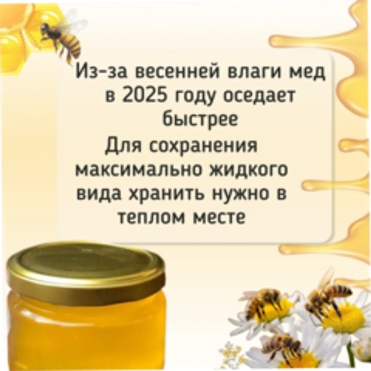 Мед Цветочный / 650 гр
