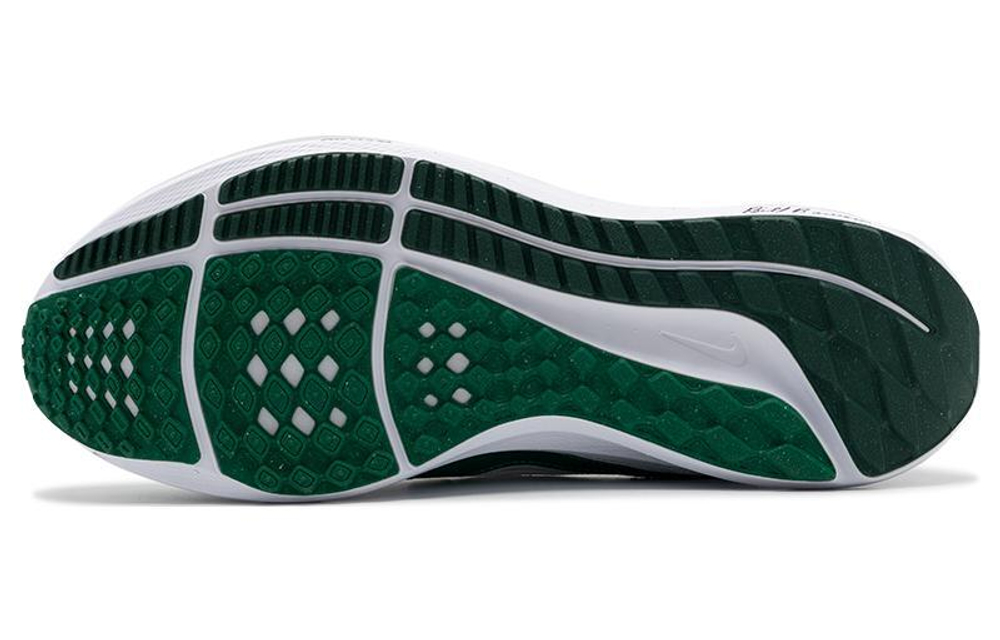 Кроссовки Nike Air Zoom Pegasus 40 Prm