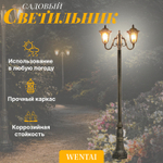 Светильник напольный Wentai DH-4039-2MA/162/