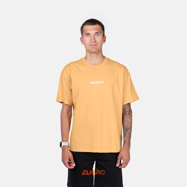 Футболка мужская Dickies Enterprise артикул:DK0A4YRNK411 - купить в магазине Дайс