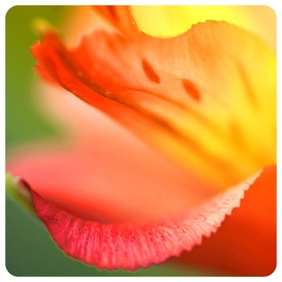 Практический Интенсив «Мастерство Регенерации и Изобилия». Часть 14