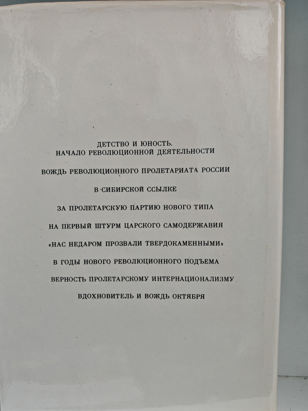Владимир Ильич Ленин. Биография, 1870-1924. В 2-х томах (комплект из 2-х книг)