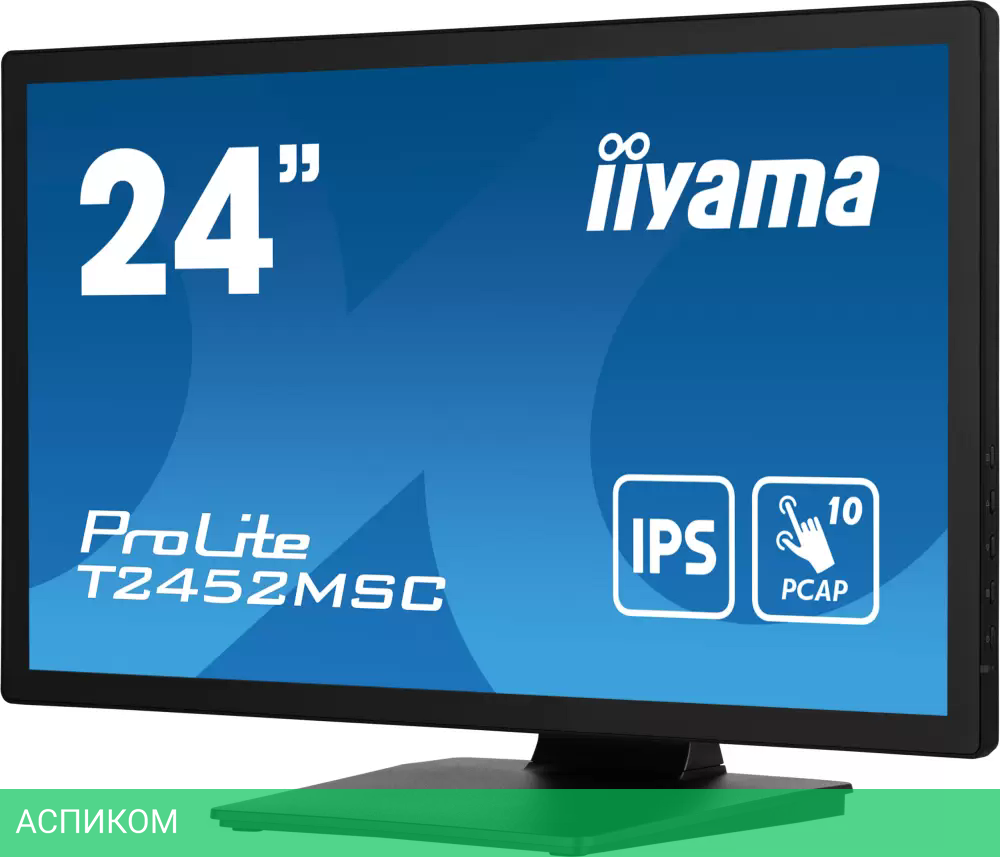 Монитор Iiyama ProLite T2452MSC-B1