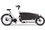 Urban Arrow Family Perfomance Plus - 500 Wh - 26 Zoll - Aktion