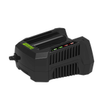 Зарядное устройство Greenworks 82v G82C,2914707